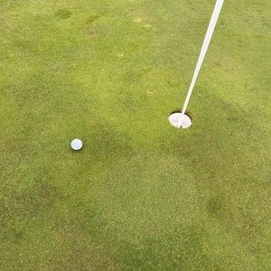 Meet your Posher, Scott